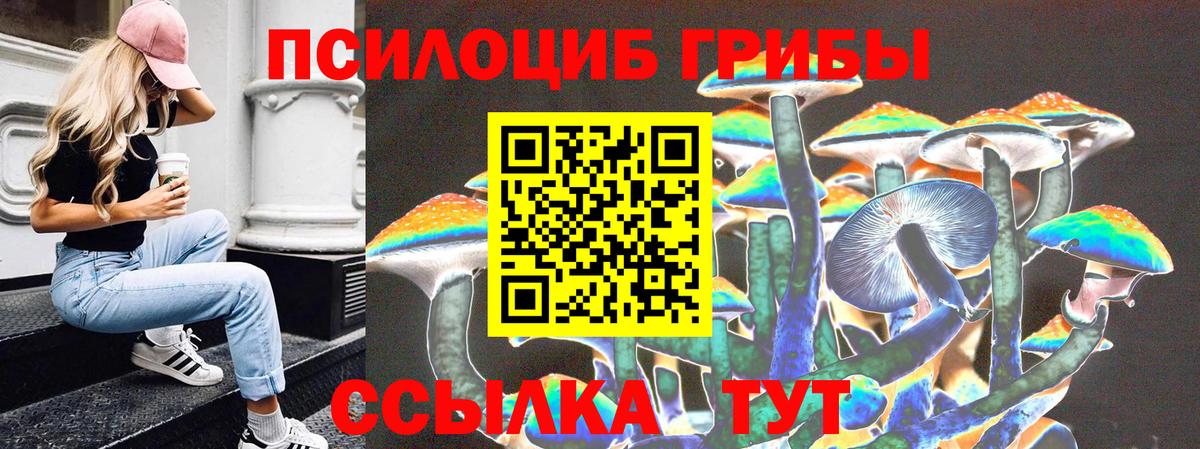 Добрянка  Галлюциногенные грибы Psilocybine cubensis  Вход с VPN  Галлюциногенные грибы Psilocybe 