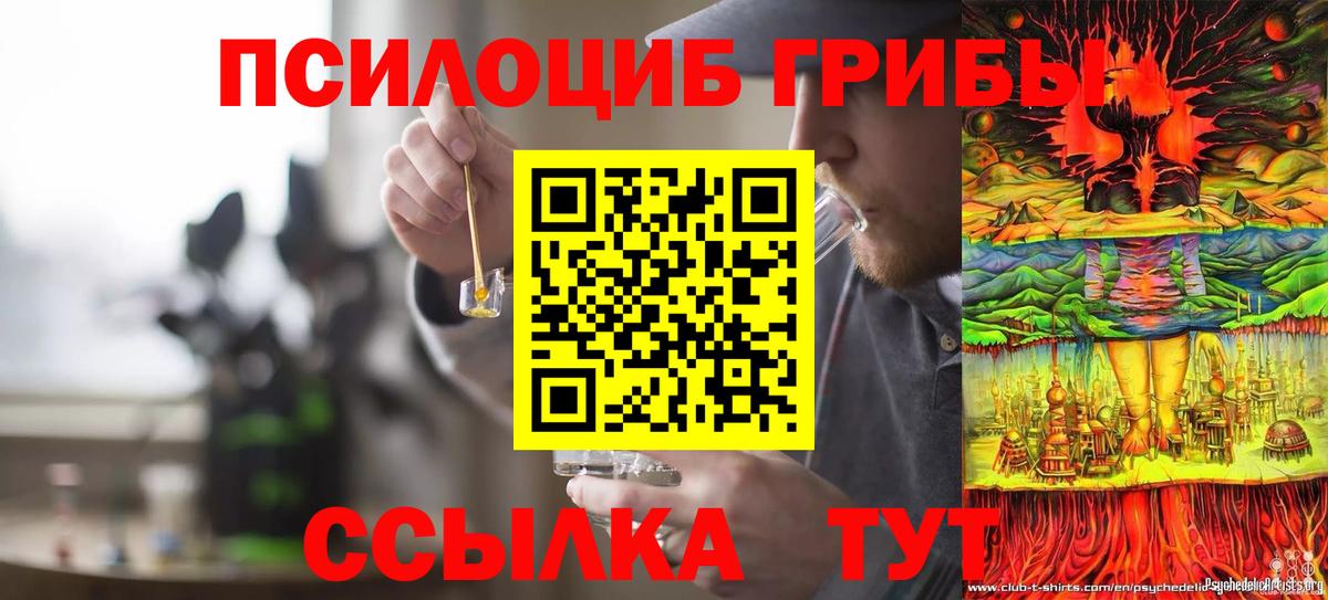 Галлюциногенные грибы Psilocybine cubensis Добрянка